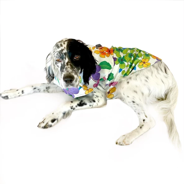 Flower Power Su İtici Köpek Yağmurluğu , Orta ve Büyük Irklar İçin - 4