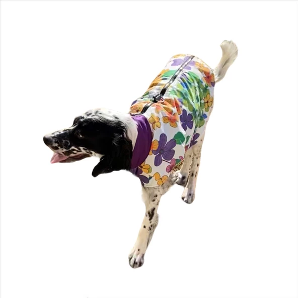 Flower Power Su İtici Köpek Yağmurluğu , Orta ve Büyük Irklar İçin - 6