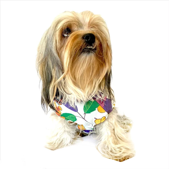 Flower Power Su itici Yağmurluk Köpek Yağmurluğu - 7