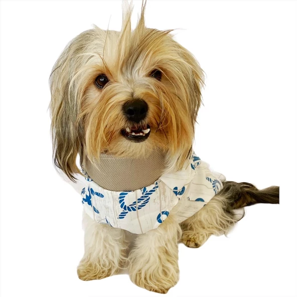 Blue Nautica Su itici Yağmurluk Köpek Yağmurluğu - Resim 6