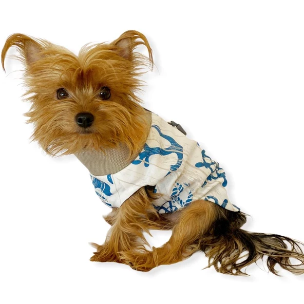 Blue Nautica Su itici Yağmurluk Köpek Yağmurluğu - Resim 3