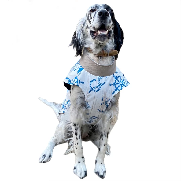 Blue Nautica Su İtici Köpek Yağmurluğu ,Orta ve Büyük Irklar İçin - 2