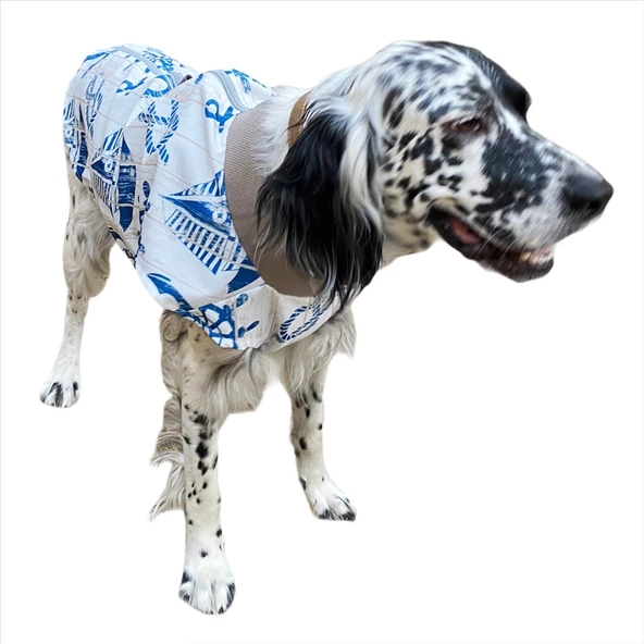 Blue Nautica Su İtici Köpek Yağmurluğu ,Orta ve Büyük Irklar İçin - 5