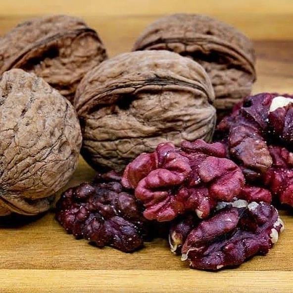 3 Yaş Aşılı Kırmızı Ceviz Fidanı - 2