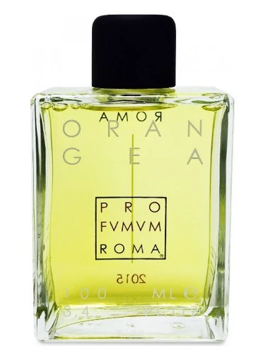 Profumum Roma Orangea 100 ml EDP Unisex Parfüm