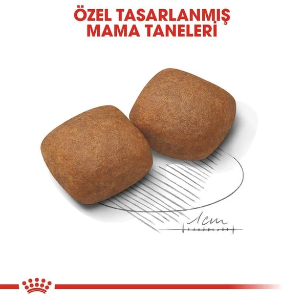 Royal Canin Giant Junior Yavru Kuru Köpek Maması 15 Kg - 3