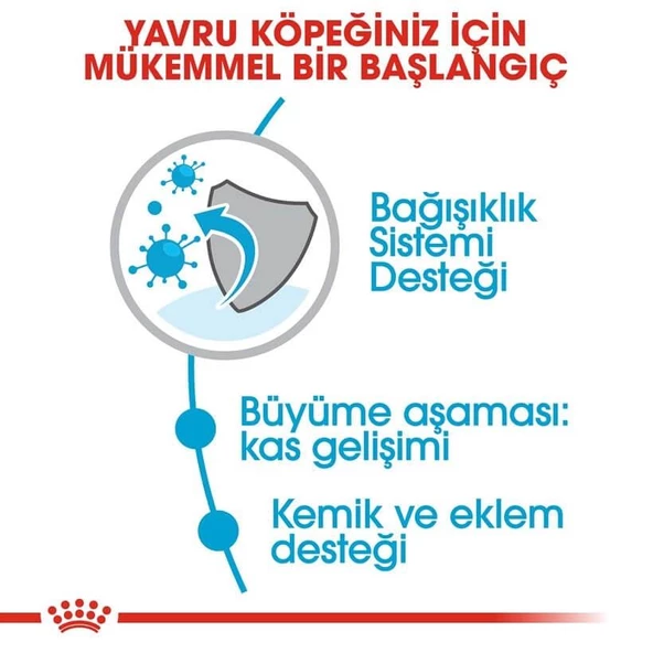 Royal Canin Giant Junior Yavru Kuru Köpek Maması 15 Kg - 4