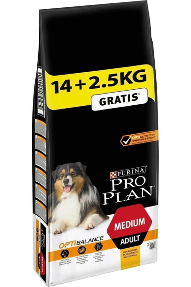 Pro Plan Medium Tavuklu Orta Irk Köpek Maması 14 Kg + 2,5 Kg