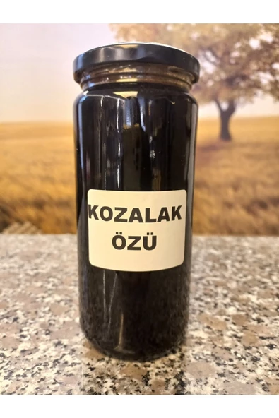 Burdur Hasat 700 Gr Doğal Çam Kozalağı Özü