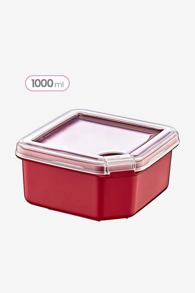 Smartware Q-Box Saklama Kabı 1000 ML TRN-262