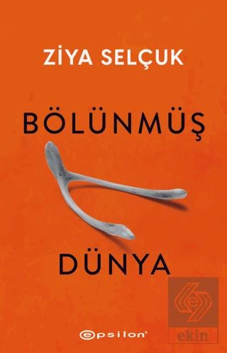 Bölünmüş Dünya ürün görseli 1