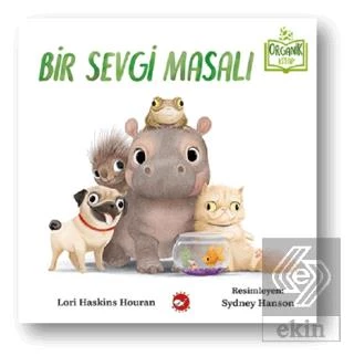 Bir Sevgi Masalı