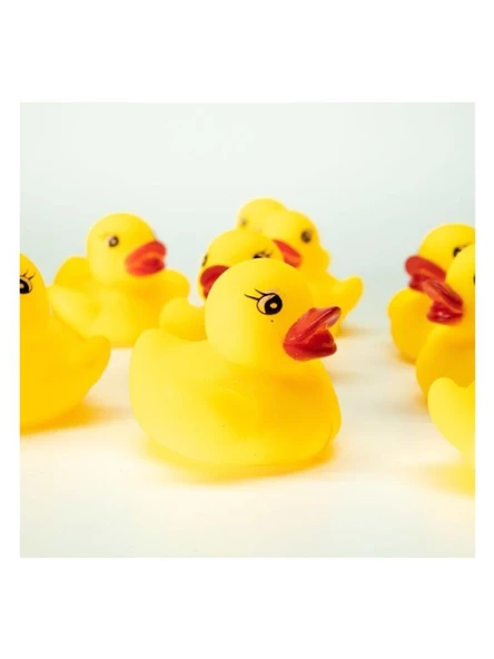 Ethem Oyuncak 12'li vinil Ördek Poşette  SYF-AA21 (27-K) - 4