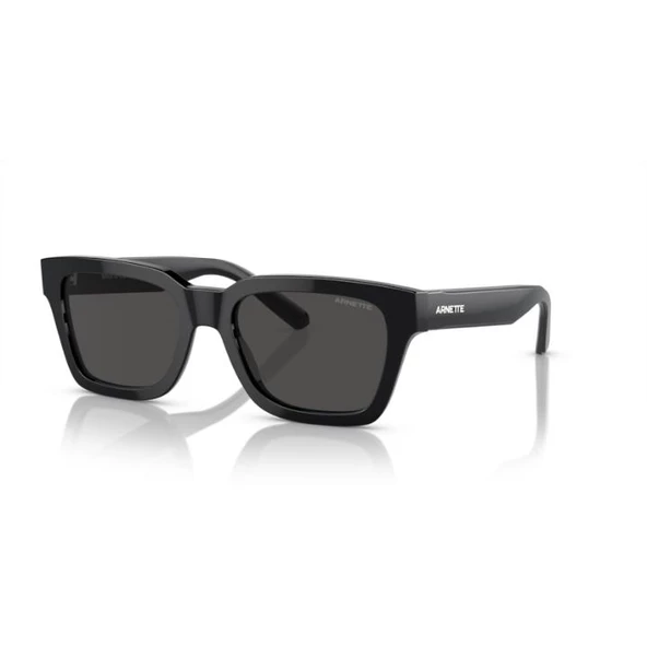 Arnette  0AN4334 12148753 Erkek Güneş Gözlüğü