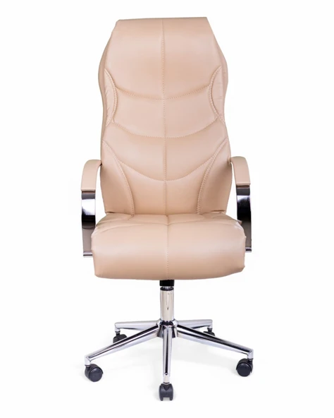 ARON VIP Toprak Deri Yönetici Koltuğu - 3