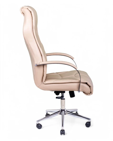 ARON VIP Toprak Deri Yönetici Koltuğu - 4