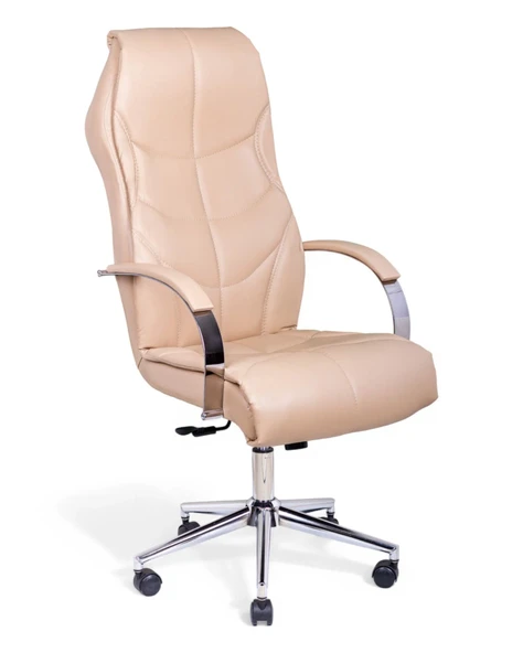 ARON VIP Toprak Deri Yönetici Koltuğu - 2