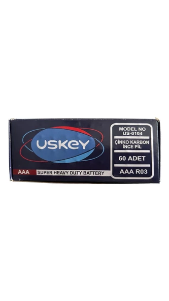 WellHise Uskey Çinko Karbon İnce AAA Pil 60'lı Paket Kumanda Pili - 2