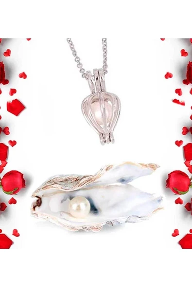 Özel Kutusunda 9 Adet Yapay Gül  ve İstiridye İçinde İnci Kolye Seti Hediyelik 001 - 3