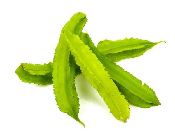 Kanatlı Fasulye Tohumu 3 Adet Tohum ürün görseli