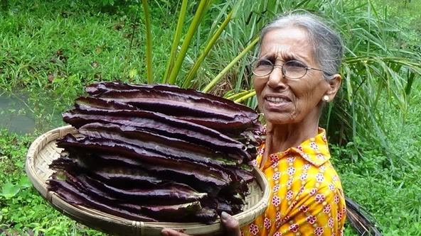 Mor Kanatlı Fasulye Tohumu 5 Adet Tohum - Resim 2