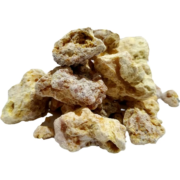 LokmanAVM Çam Sakızı Doğal 100 Gr Paket - Resim 5