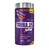 BigJoy Tribulus GRW 120 Kapsül - 1