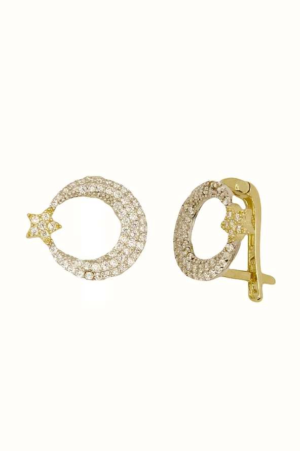 Cigold Taşlı Küpe 14 Ayar Altın 2.61 Gr OA-K101027041