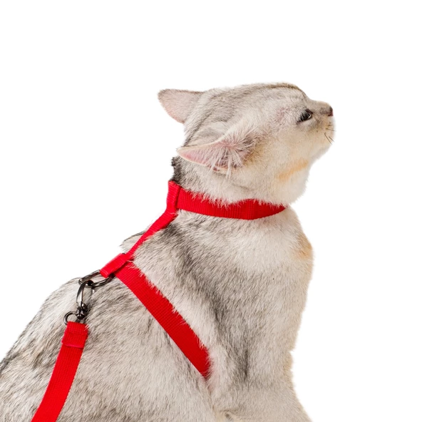 Kedi Köpek Tasması Pembe Ayarlanabilir Bedenli Kaçış Önleyici Tasarım Sevk Kayışlı Model Dubai