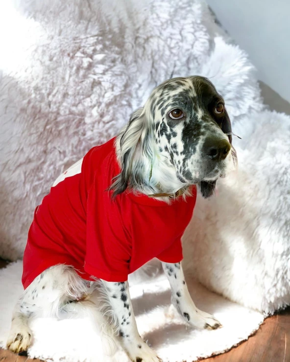 Santa and Friend Rudolph Orta ve Büyük Irk Köpek Tişörtü Yılbaşı Noel - 6