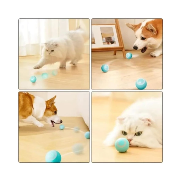 ŞARJLI İNTERACTİVE KEDİ OYUN TOPU - 2