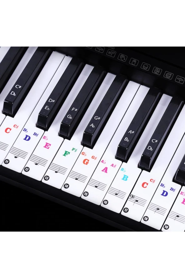 Piyano Öğrenme Etiketleri Renkli 88 Parça Sticker