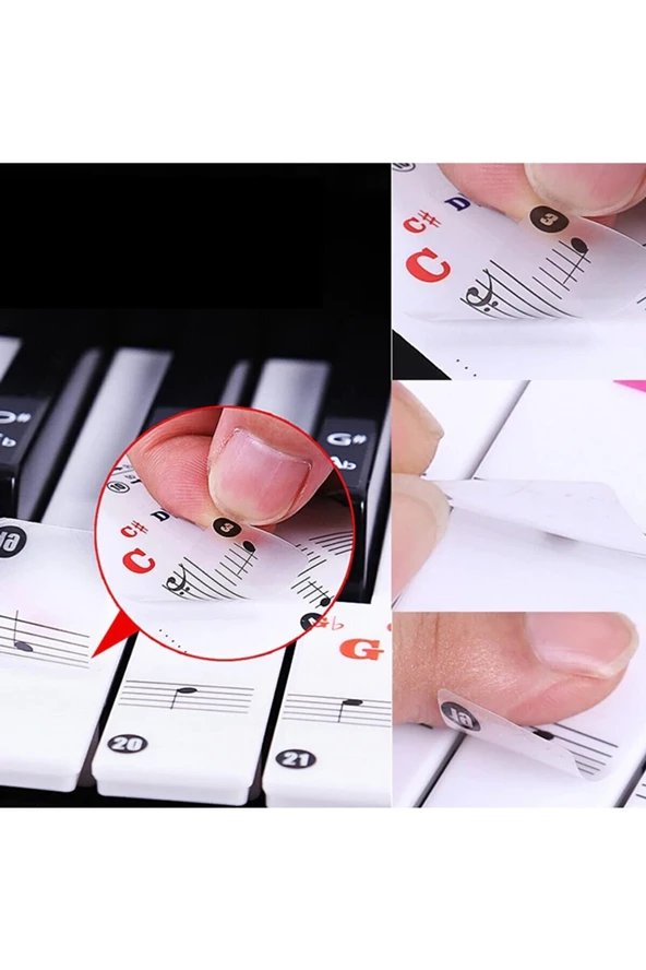 Piyano Öğrenme Etiketleri Renkli 88 Parça Sticker - 4