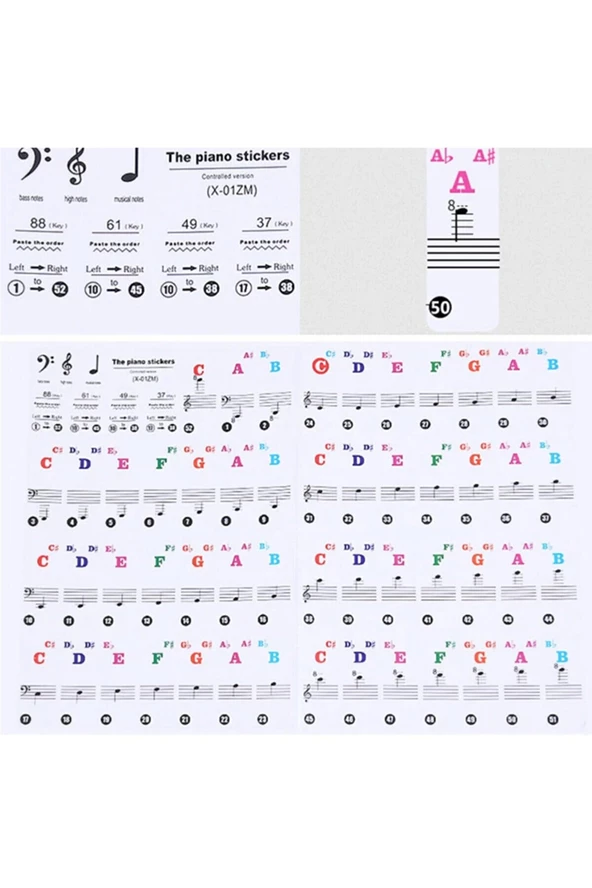 Piyano Öğrenme Etiketleri Renkli 88 Parça Sticker - 2