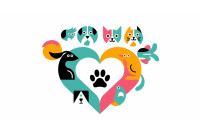 Veterinerden Gelsin Veterinerden Gelsin