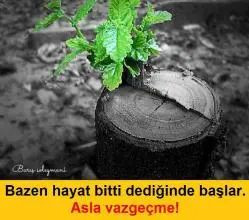 Ateş Sahaf Ateş Sahaf