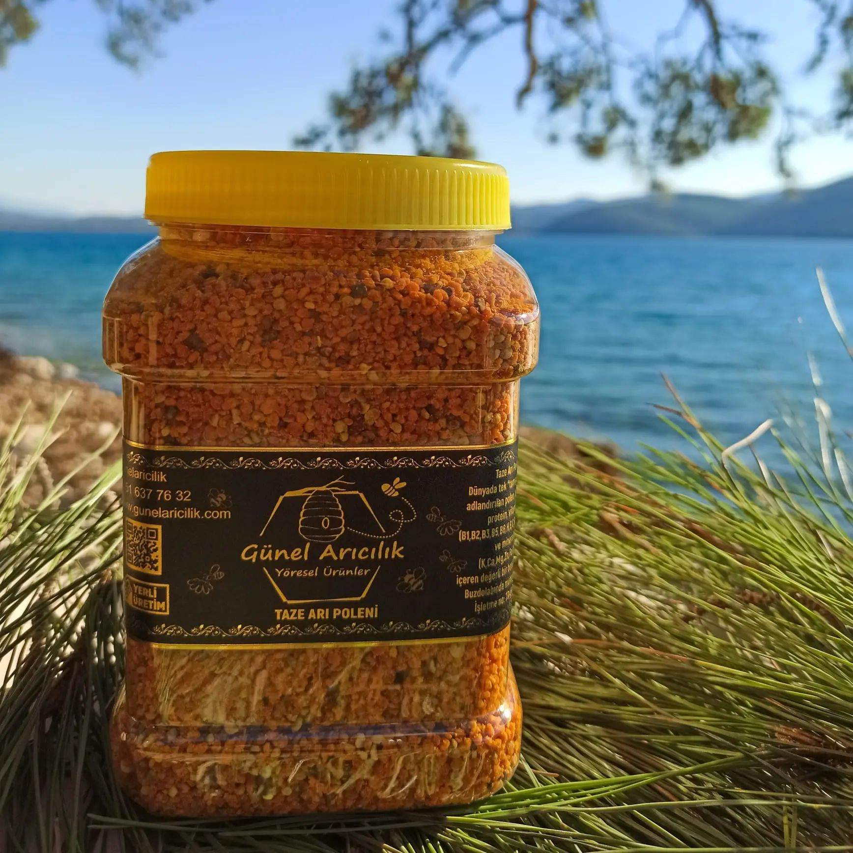 Günel Arıcılık Günel Arıcılık