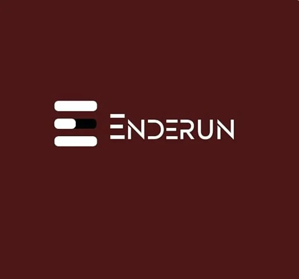 ENDERUN LLC ENDERUN LLC