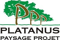 PLATANUS PAYSAGE PLATANUS PAYSAGE