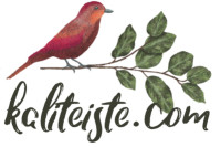 ATASEVEN Ticaret ATASEVEN Ticaret