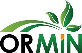 Ormin