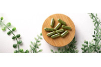 PLANTA SANA PLANTA SANA