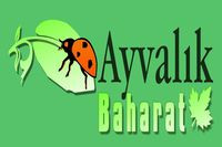 AYVALIK BAHARAT AYVALIK BAHARAT