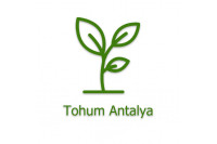 TOHUM ANTALYA TOHUM ANTALYA