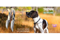 TAPAN BIÇAĞI