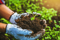 PESTKONTROL PESTKONTROL